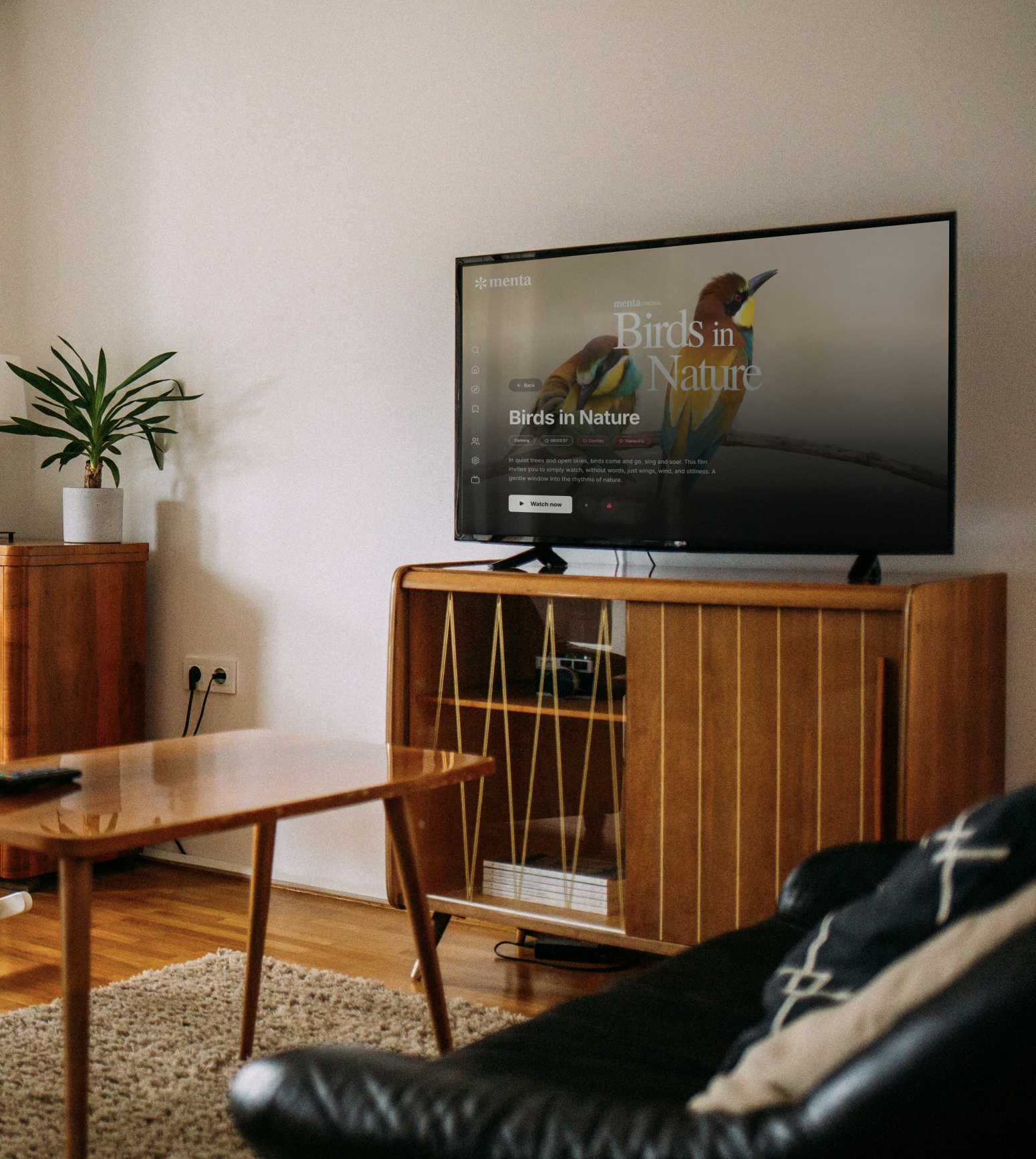 Menta app on TV screen