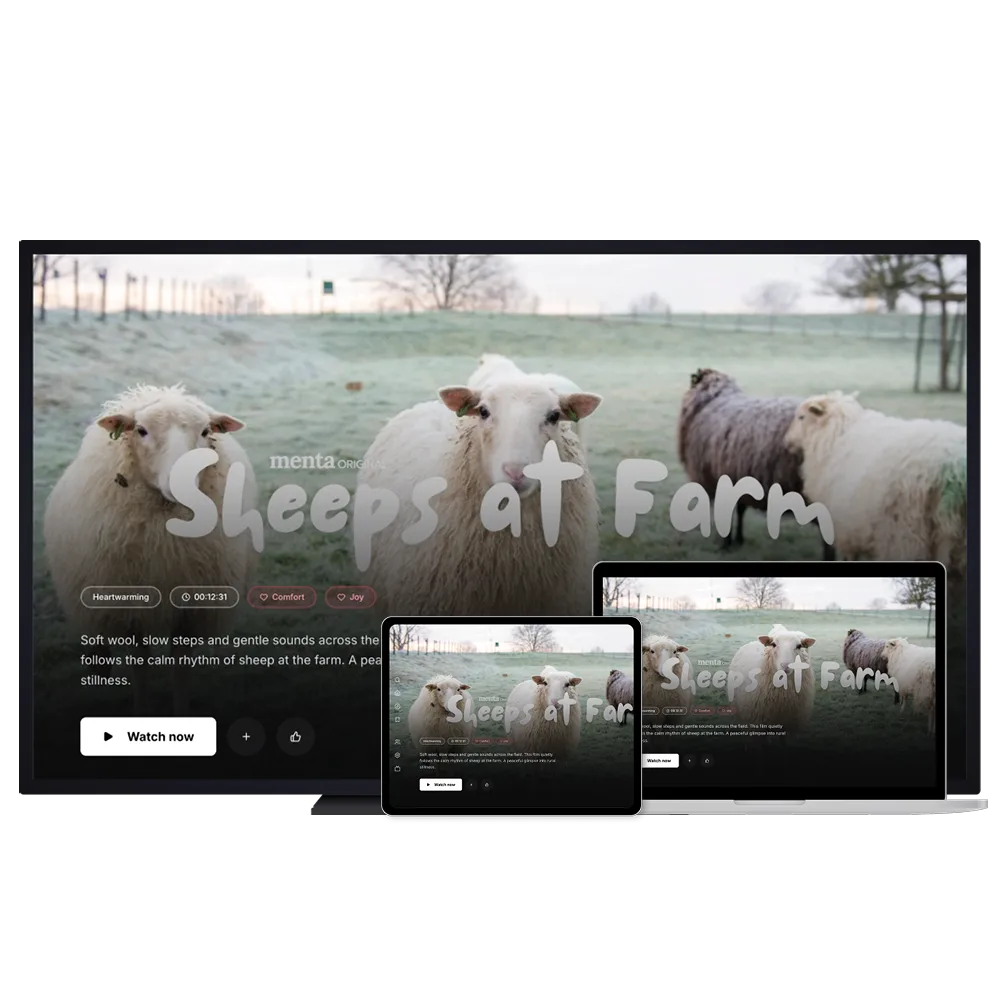 Menta app on TV screen