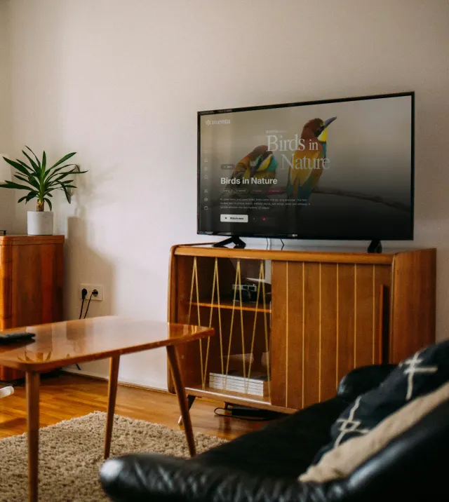 On Every Screen — On all platforms, — Apple TV, Google TV, Android TV, and the web.